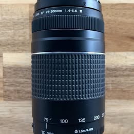 Canon EF 75-300mm f/4-5.6III Lens