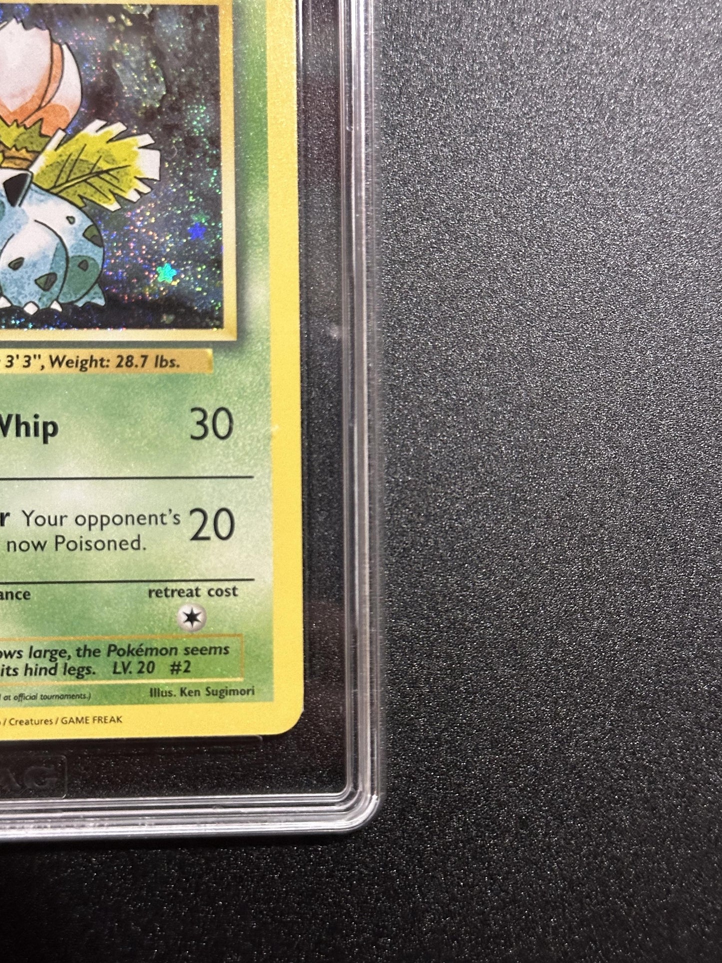 Ivysaur 002/034 - bottom right corner