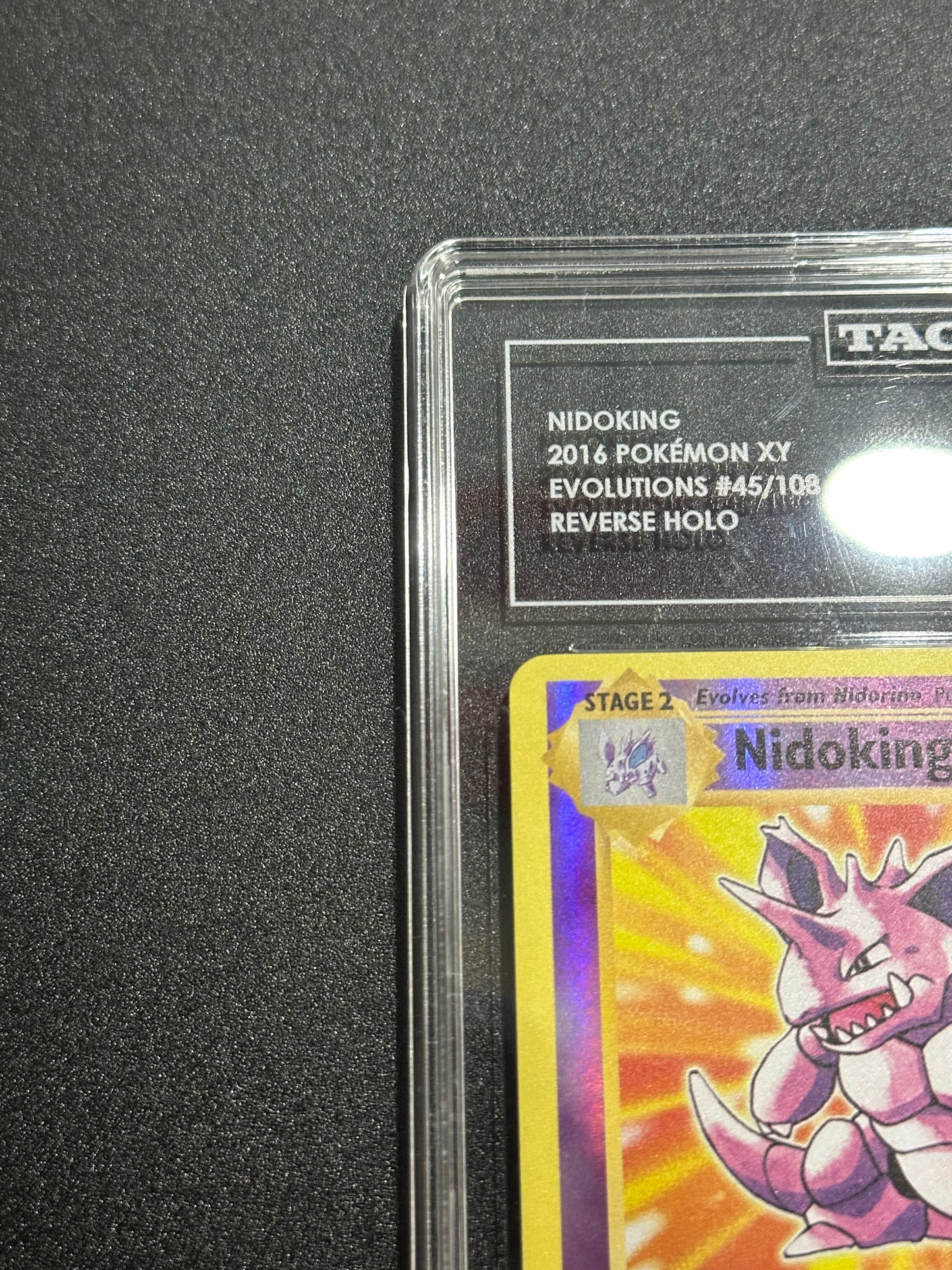 Pokemon Nidoking 45/108 Reverse Holo XY Evolutions TAG 7.5 NM+