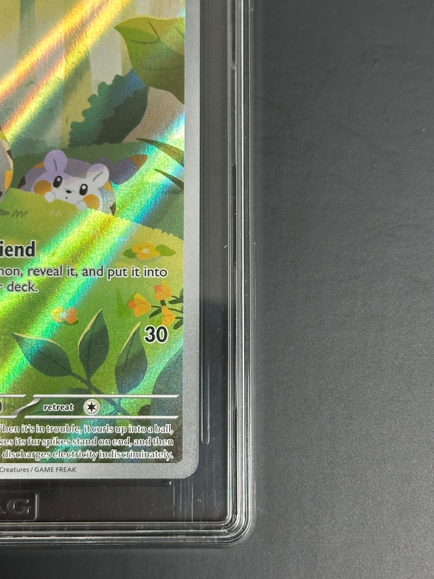 Pokemon Togedemaru 104/094 Illustration Rare Phantasmal Flames TAG 10 Gem Mint