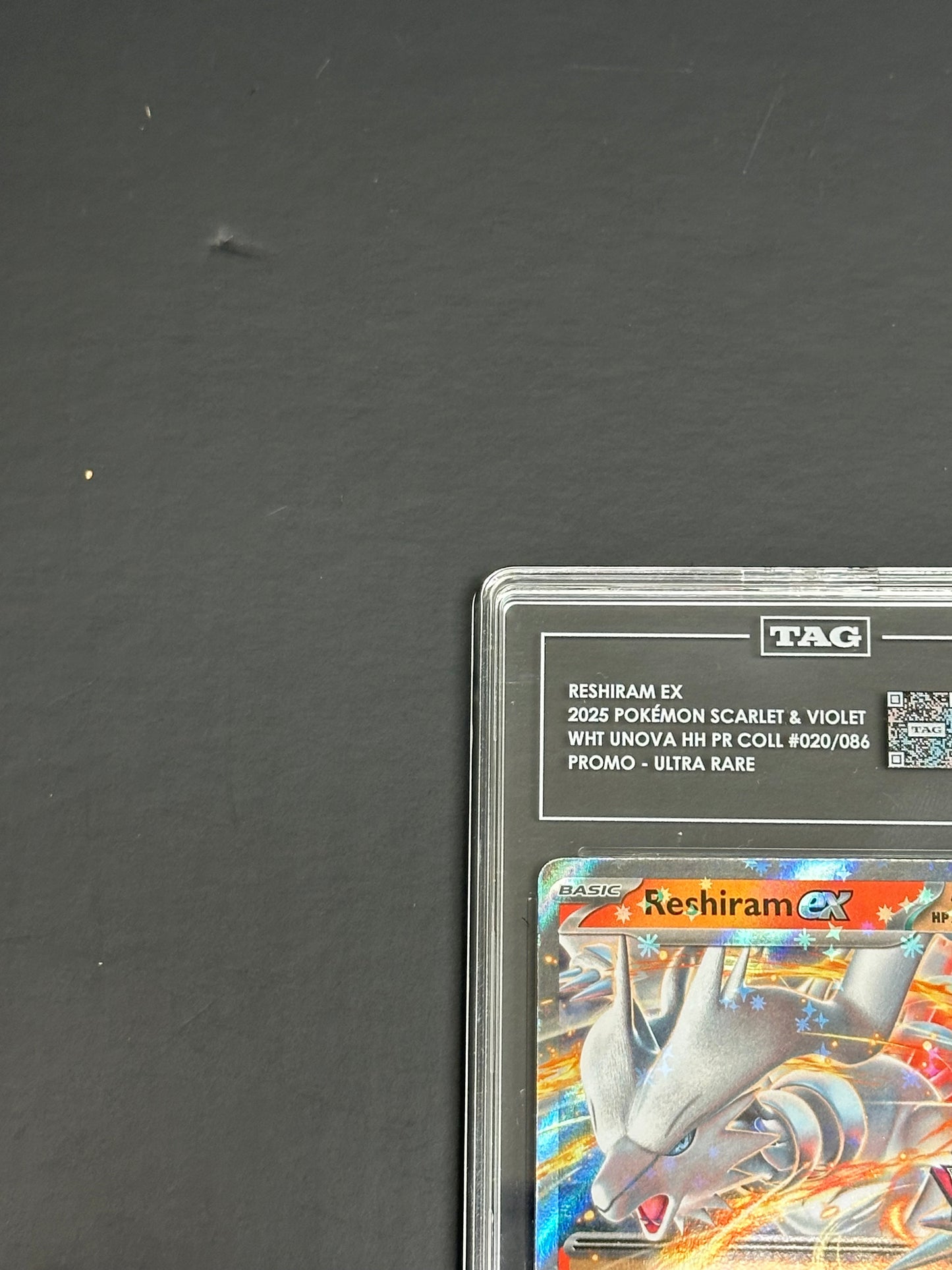 Pokemon Reshiram ex 020/086 Promo Ultra Rare White Flare TAG 10 Gem Mint