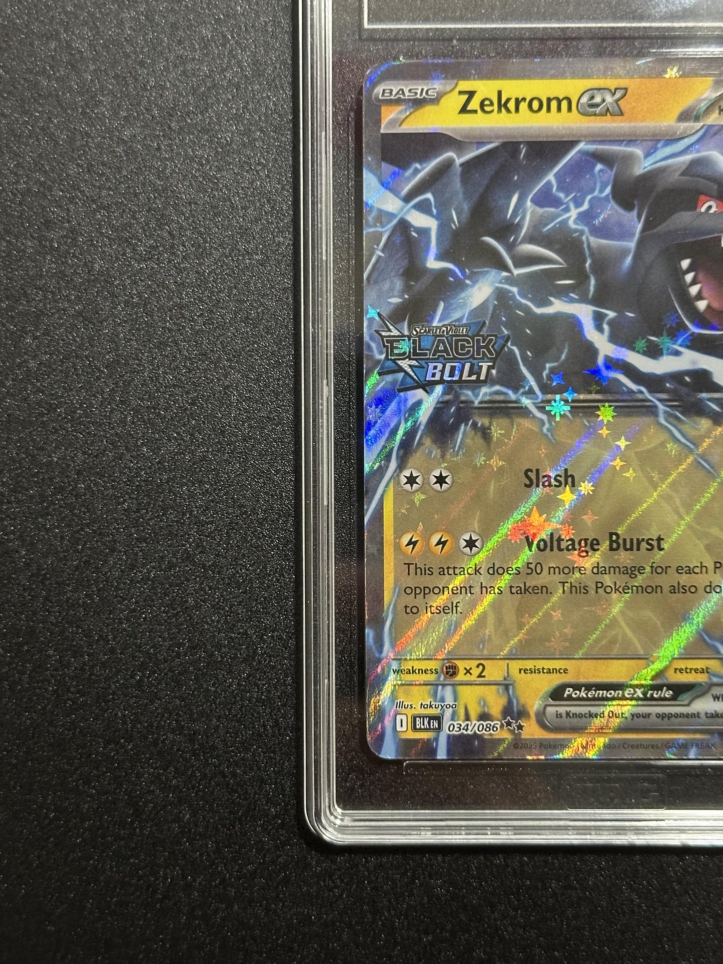 Zekrom ex 034/086 - bottom left corner