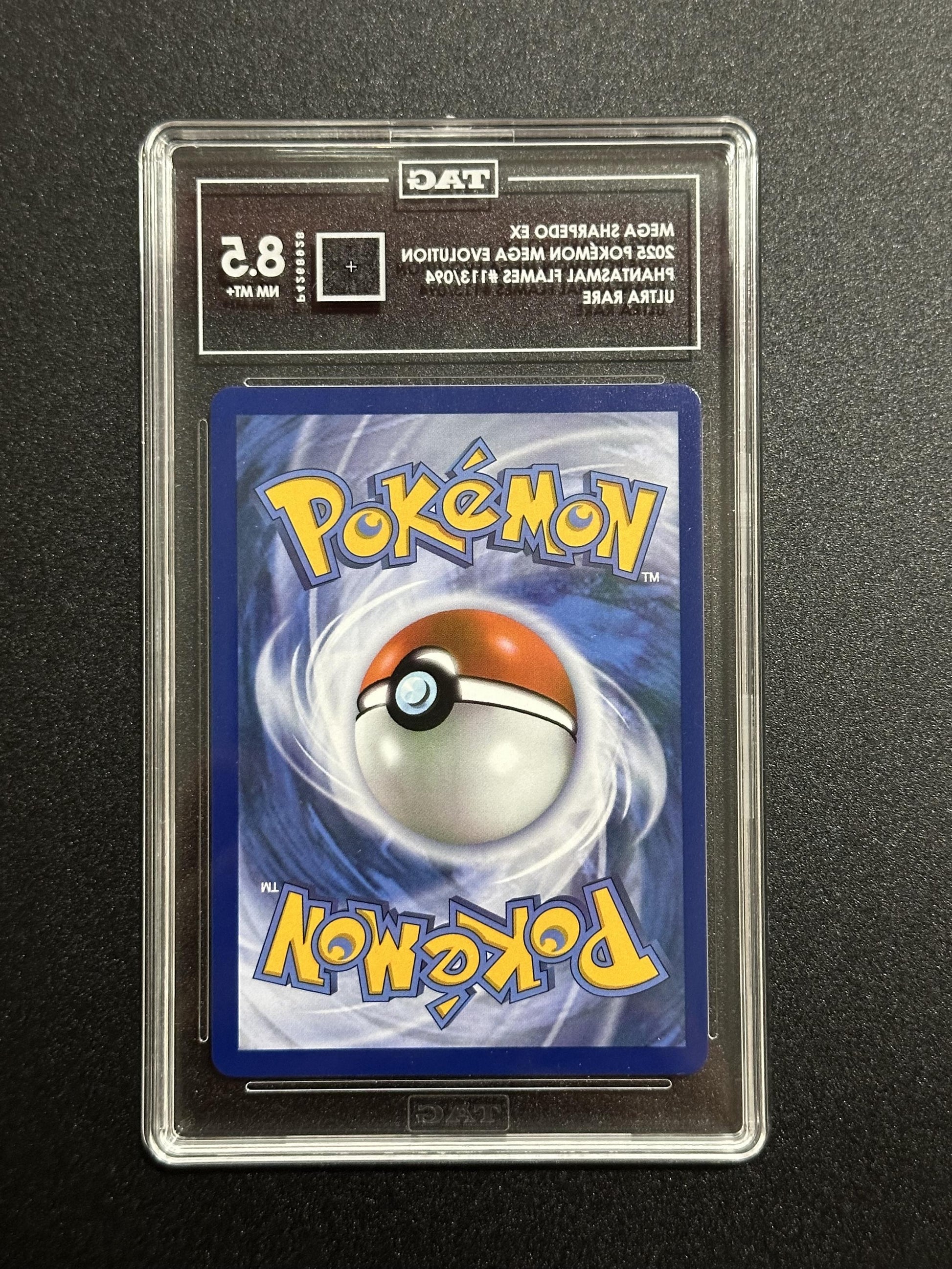 Mega Sharpedo ex 113/094 - back of slab