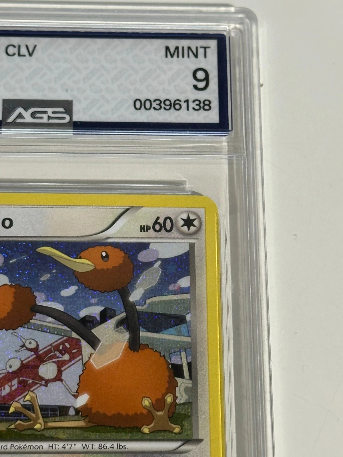 2023 Pokemon CLV Doduo Holo #013 AGS 9 Mint Slabbed