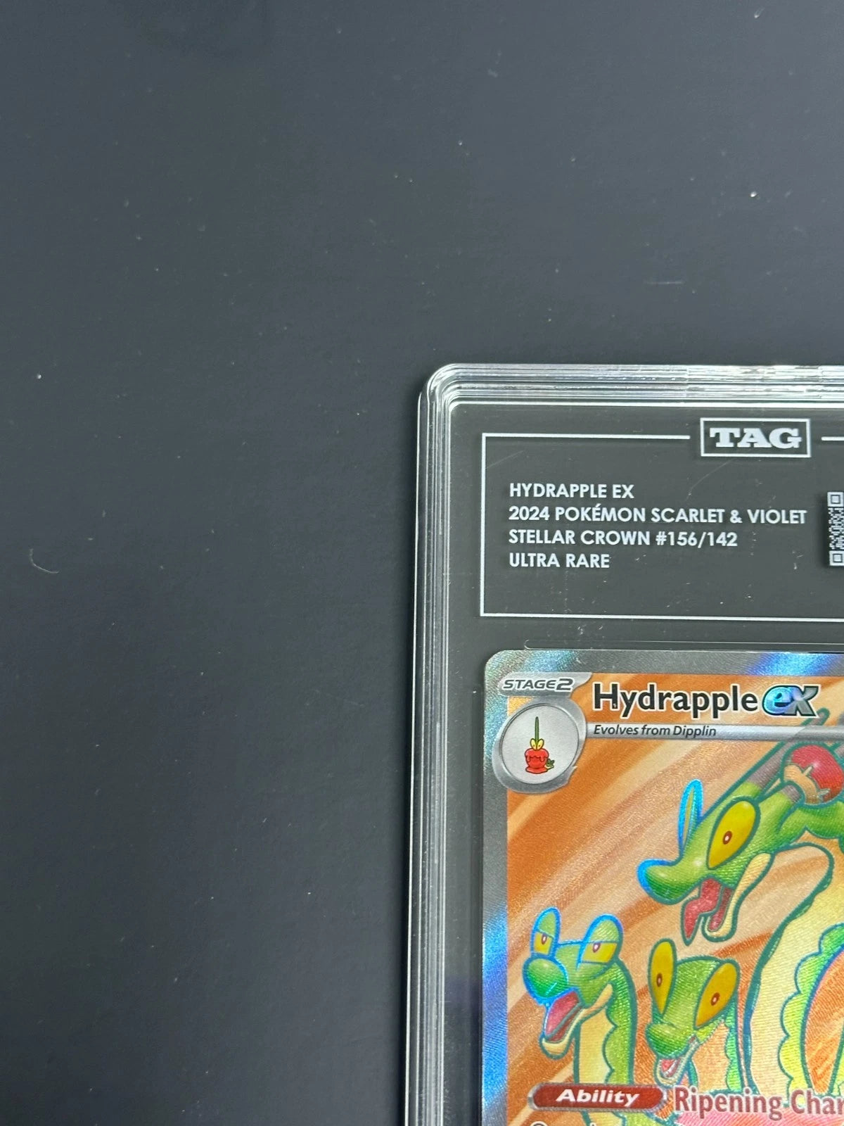 Pokemon Hydrapple ex 156/142 Ultra Rare Stellar Crown TAG 10 Gem Mint