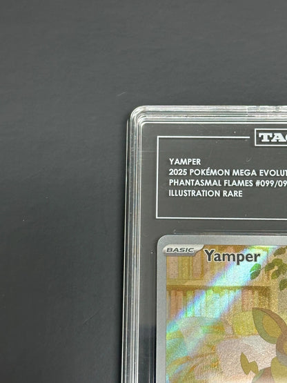Pokemon Yamper 099/094 Illustration Rare Phantasmal Flames TAG 10 Gem Mint