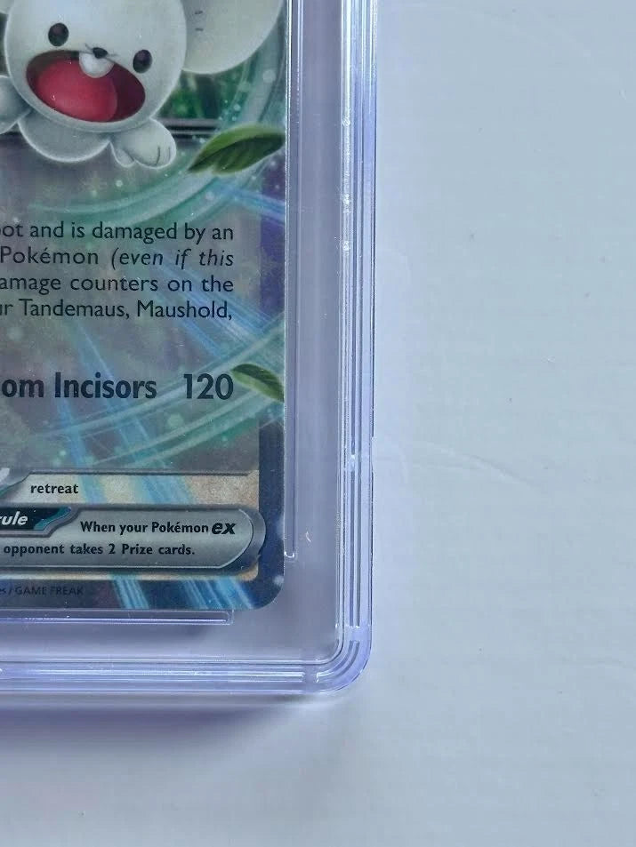 Pokemon Maushold ex 155/182 Holo Paradox Rift CGC 9.5 Mint+