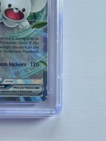 Pokemon Maushold ex 155/182 Holo Paradox Rift CGC 9.5 Mint+